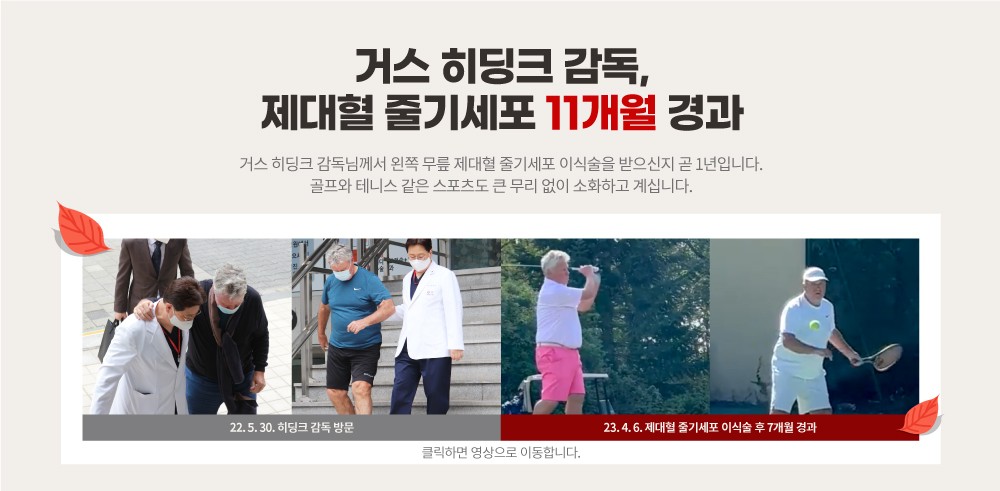 히딩크 감독 제대혈 줄기세포 이식술 11개월 경과